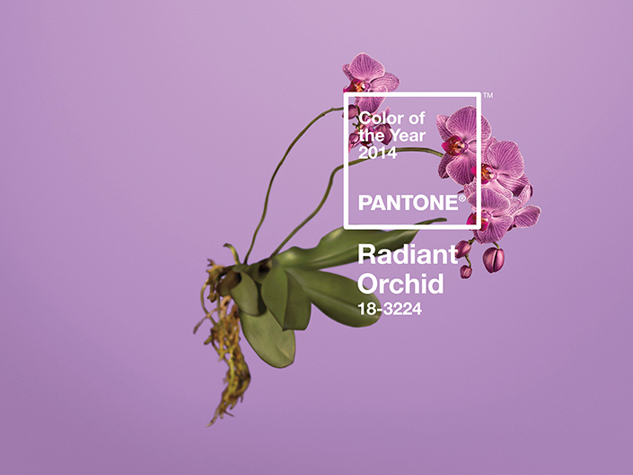 流行を先取り！2014年の流行色『Radiant Orchid（ラディアント・オーキッド）』